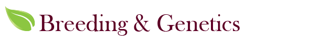 Breeding & Genetics