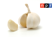 NPR Garlic [FeaturedImage]