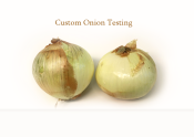 CustomOnionTesting[FeaturedImage]